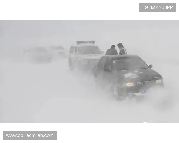 “天气检验：暴雨、雪雾的生死考验”，雨雪 天气